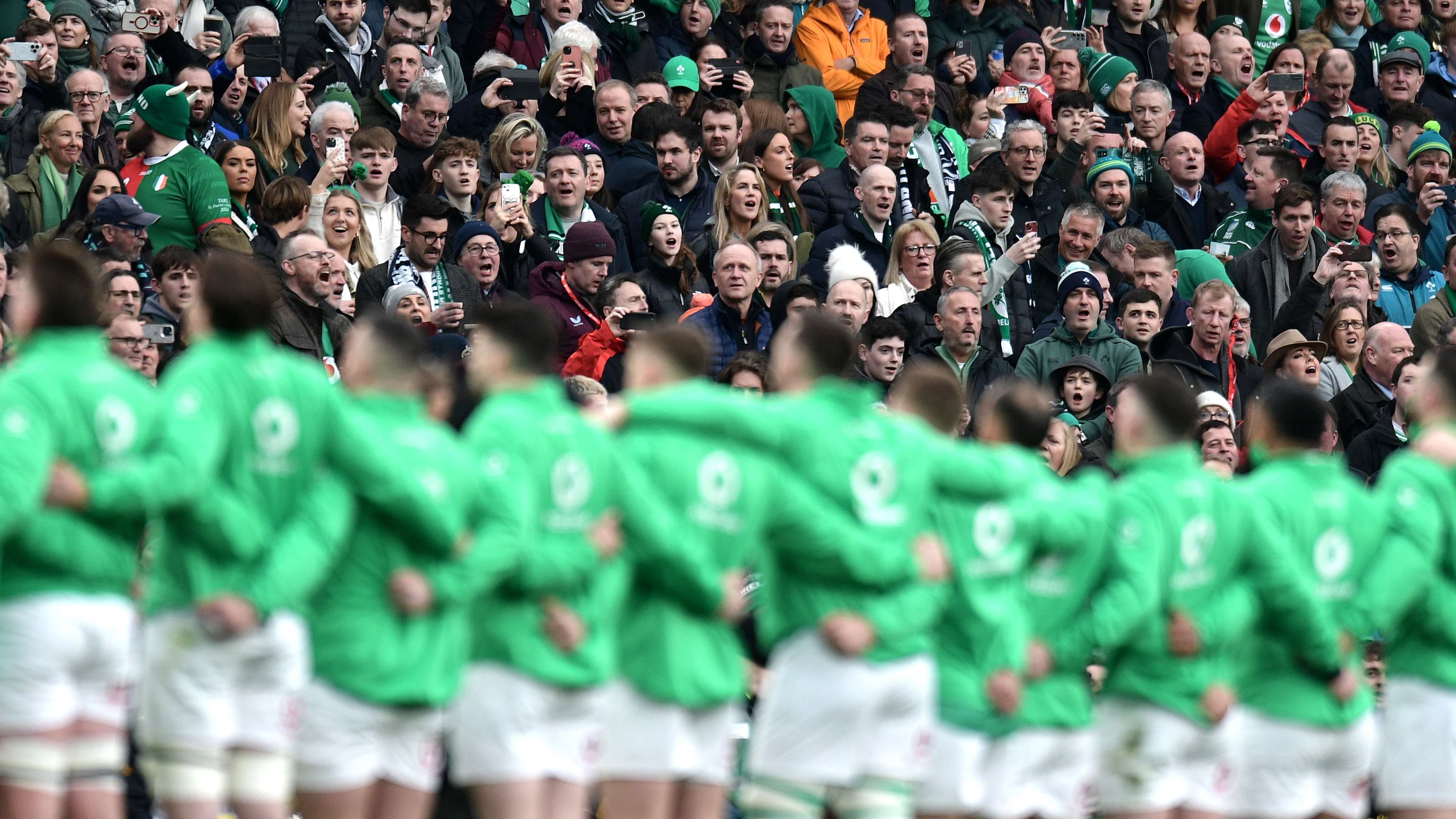 他则投入到 他则投入到