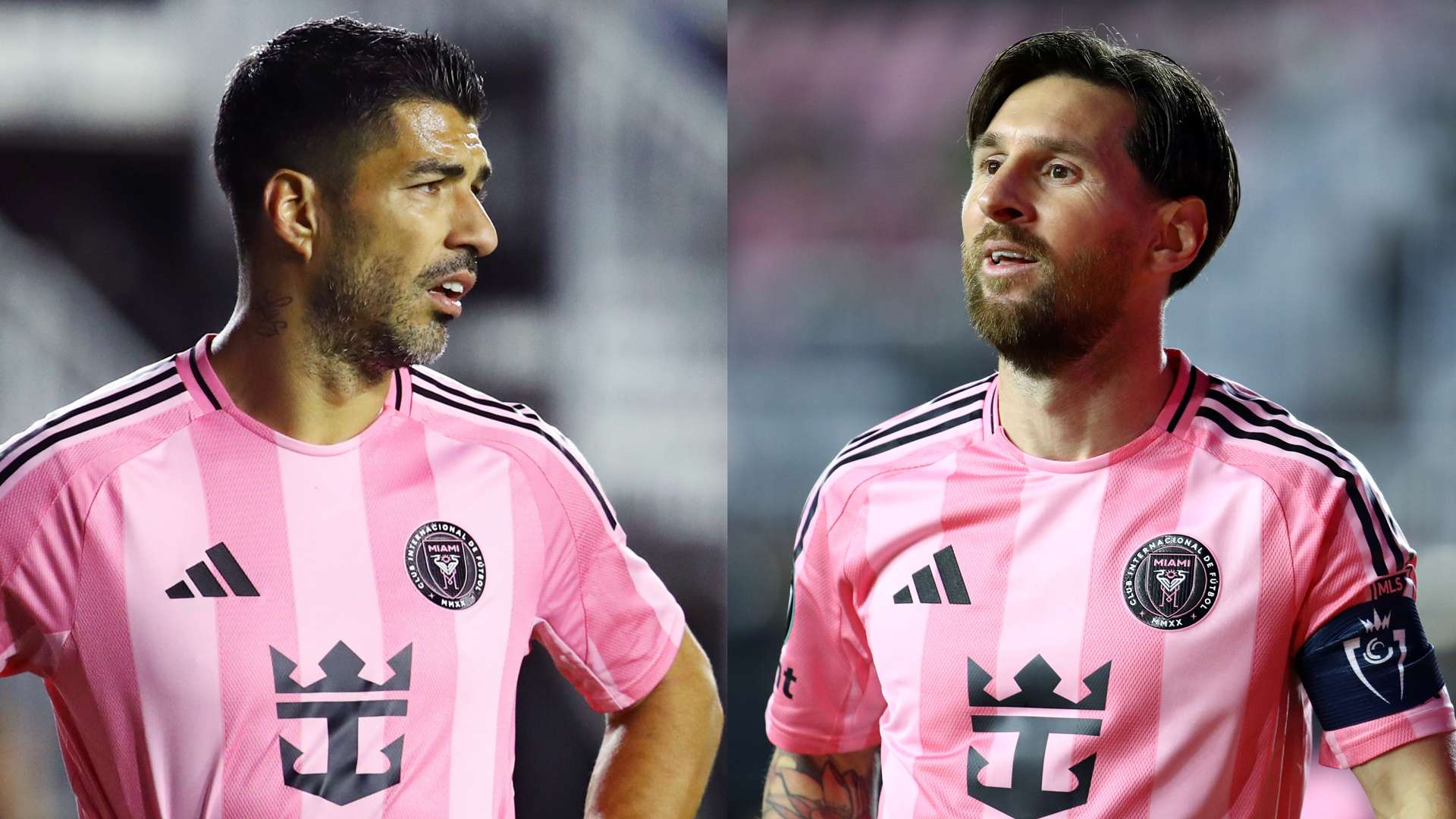 激烈的竞争 激烈的竞争